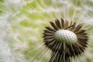20250514_0092439