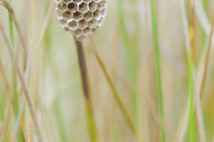 20250505_0092138